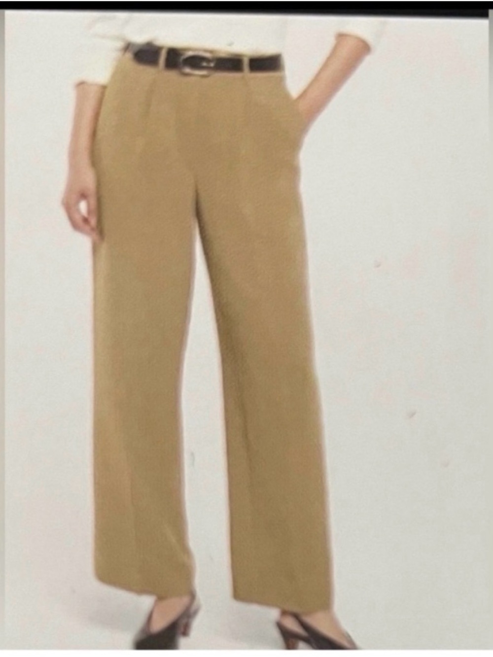 Banana Republic Wide-Leg Trousers in Tan